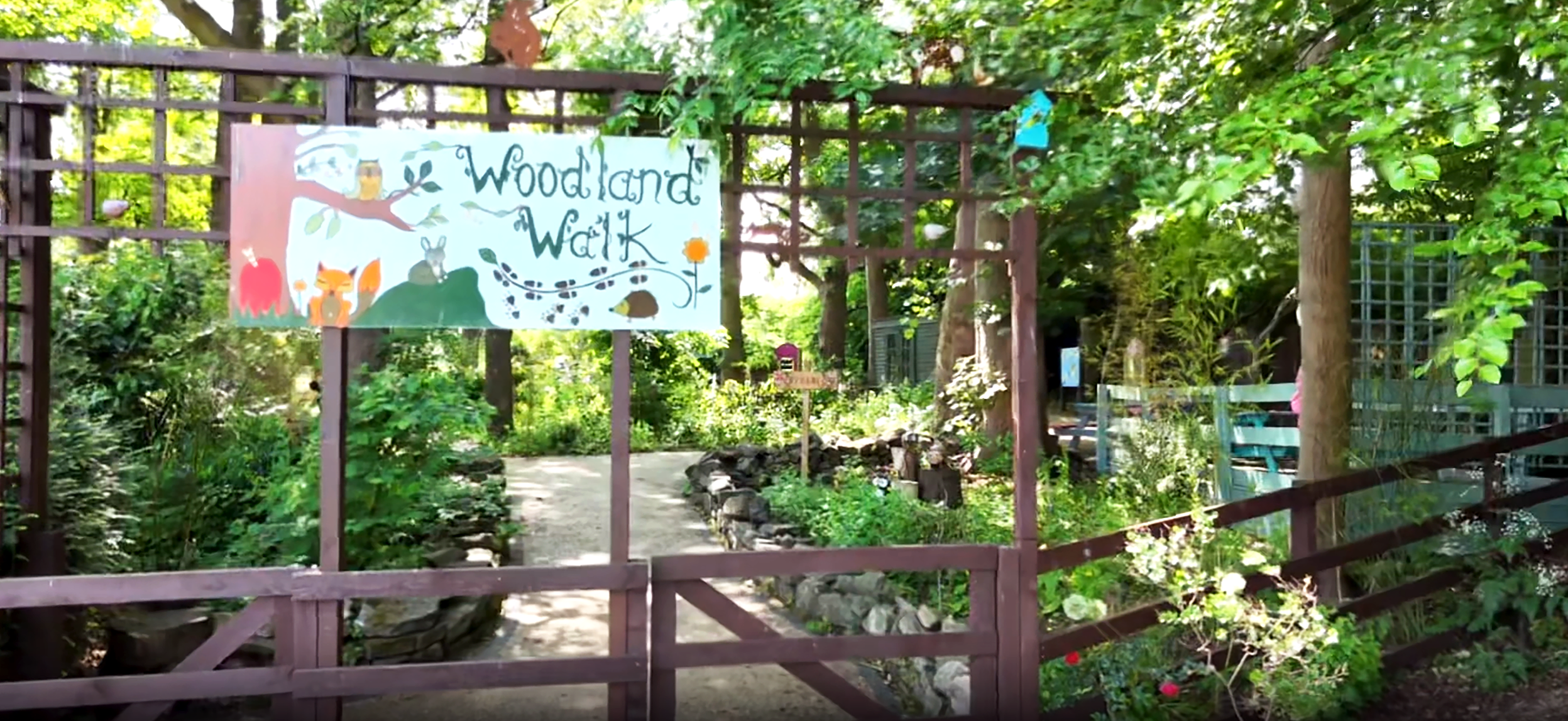 Trees and nature with a woodland walk